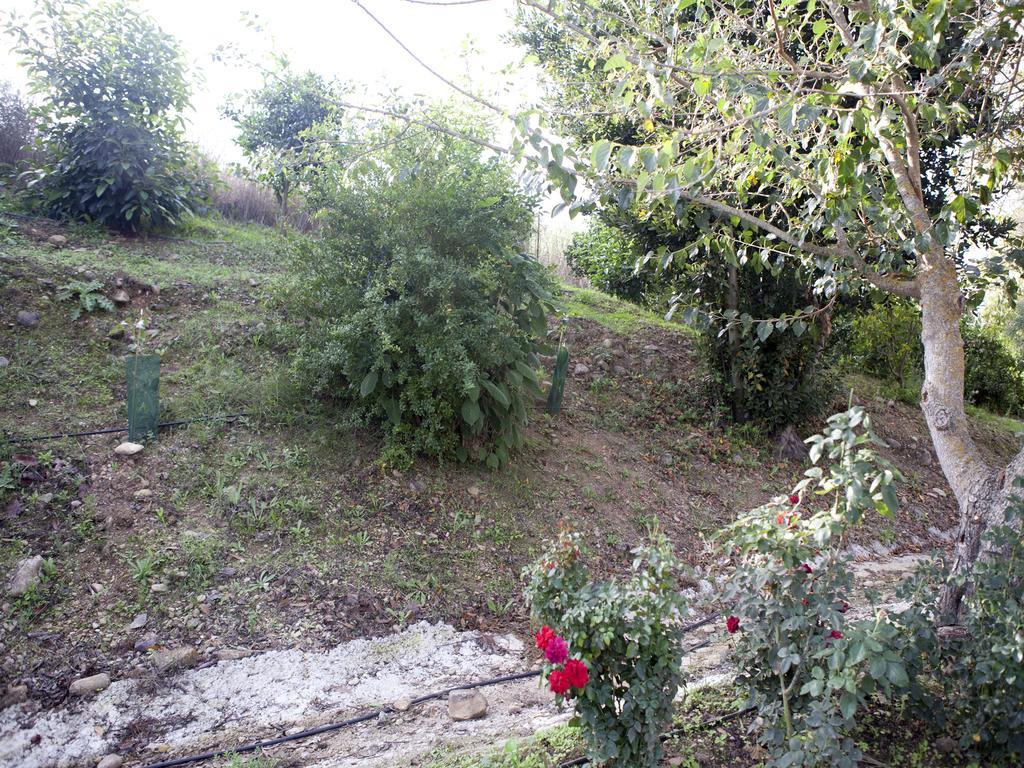 Casa Rural Vega El Dorado San Pablo Exterior photo